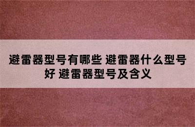 避雷器型号有哪些 避雷器什么型号好 避雷器型号及含义